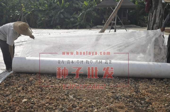 固定無(wú)紡布