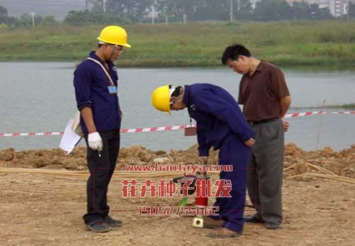 花海播種-花卉播種準備
