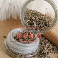 八角金盤(pán)種子