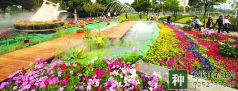 家庭園藝市場升溫明顯