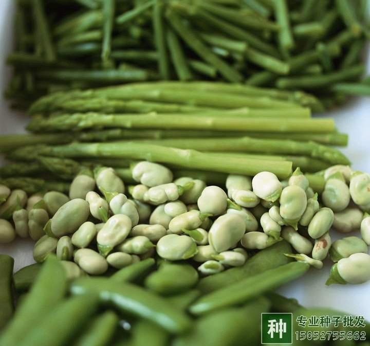 豆類蔬菜