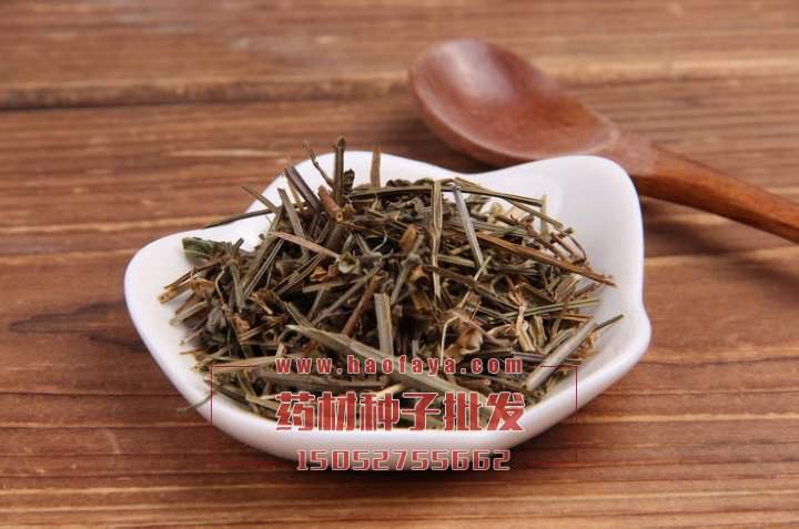 半枝蓮種子價(jià)格