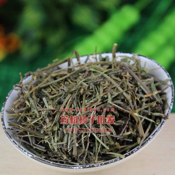 半枝蓮種子公司