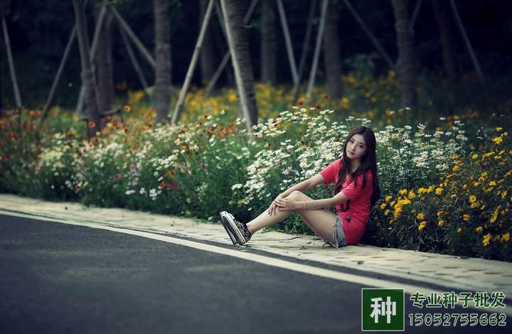 硫酸亞鐵有什么作用,怎樣使用?