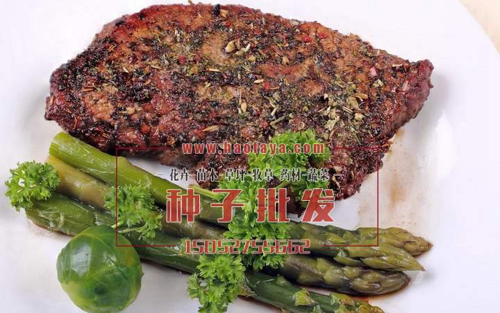 蘆筍營養(yǎng)價值高