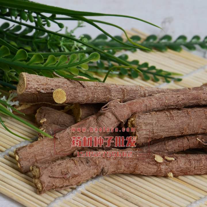 甘草功效與作用