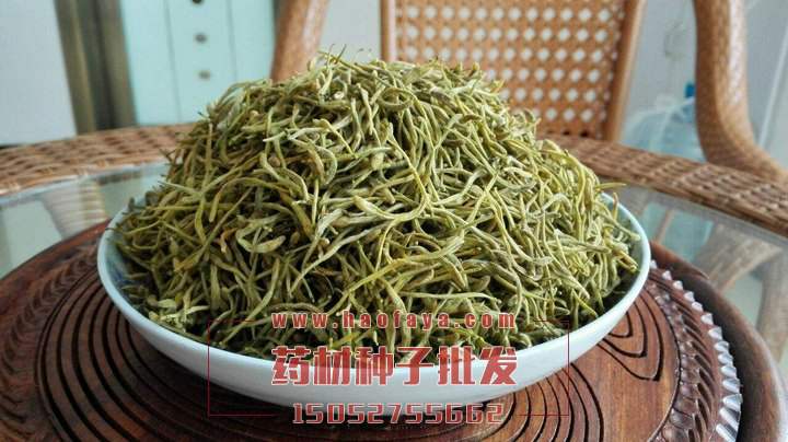 金銀花功效與作用