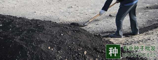 如何進(jìn)行土壤改良？