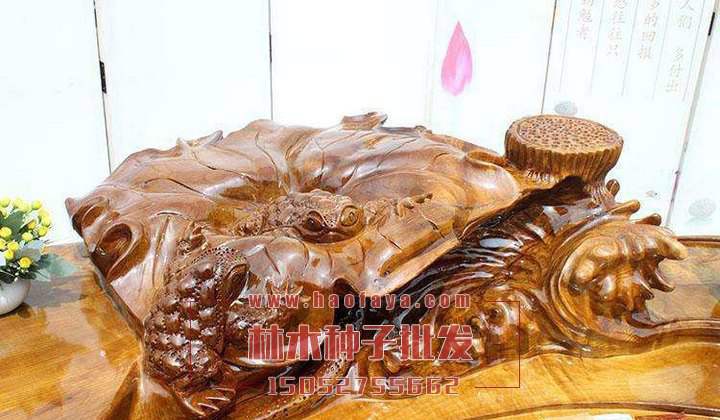 楠木的價值很高