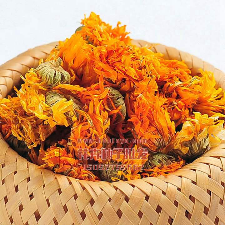 金盞菊種子銷售價(jià)格