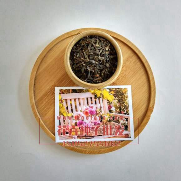 ?。ù螅惢ǚN子